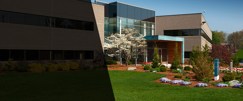 Archbald Landscapers