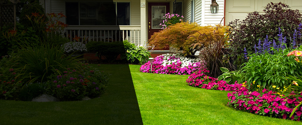 Archbald Landscapers