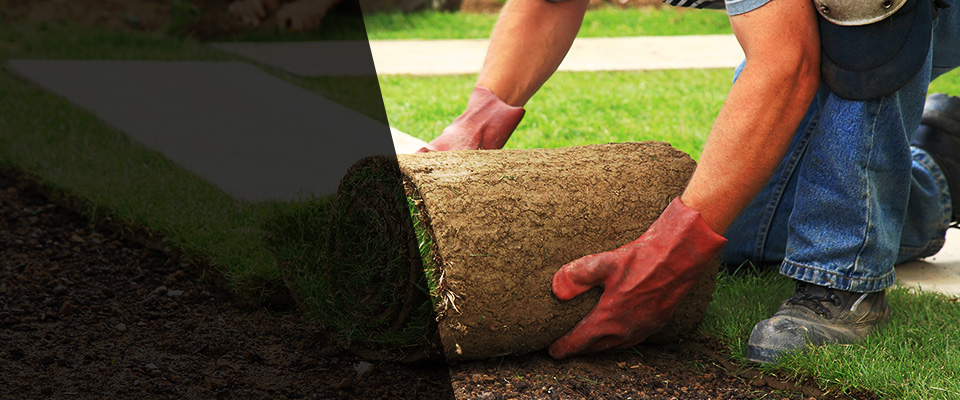 Archbald Landscapers